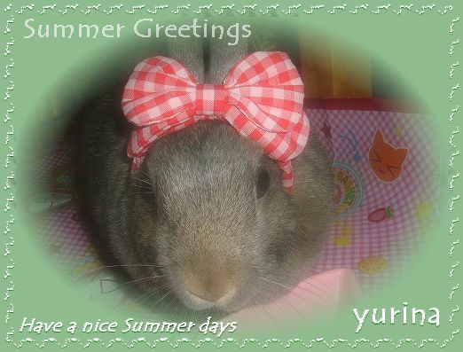 「 Summer Greetings   -from yurina-」