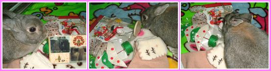 りんちゃん、ありがとう~☆