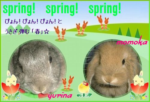 ｓｐｒｉｎｇ！ ｓｐｒｉｎｇ！ ｓｐｒｉｎｇ！ 「弾む春！」