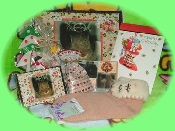 「りん姫」さま から の 贈り物☆