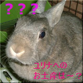 あれぇ？ユリナへのお土産はぁ～？？？