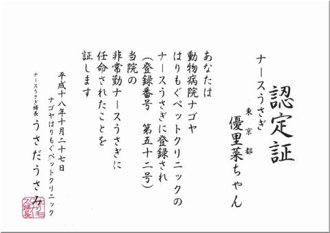 「ナースうさぎ　認定証」