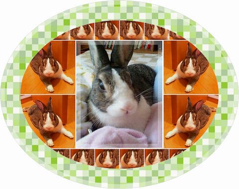 ユリナｂｌｏｇ ☆ クリスマスＧＯ！ＧＯ！企画 ： キリ番ゲッター 「ネロくん★」