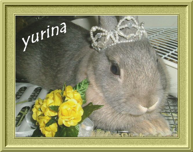 『ｐｒｉｎｃｅｓｓ☆ｙｕｒｉｎａ』