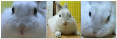 【ばに～☆ふらっしゅ】 フロド王子☆