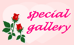 【special　gallery】