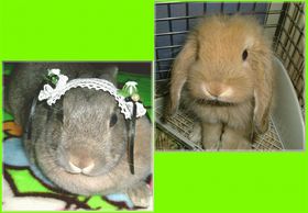 フォトフレーム用 ：画像加工～☆