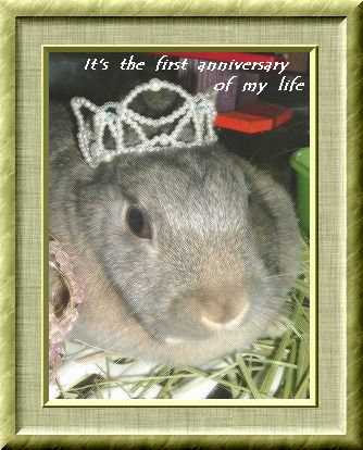 『ｆｉｒｓｔ　ａｎｎｉｖｅｒｓａｒｙ　of　my　life』