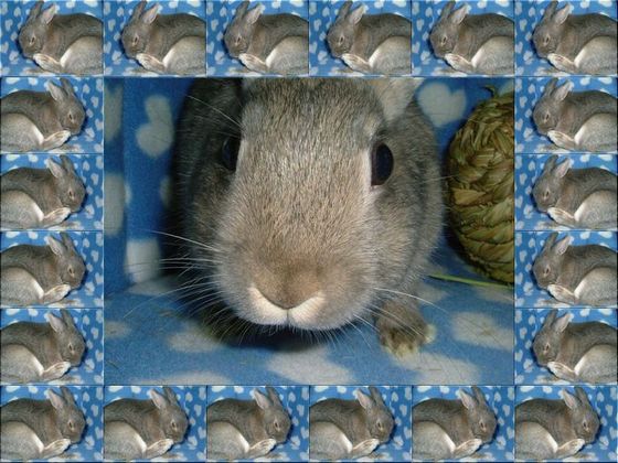 ｙｕｒｉｎａ☆