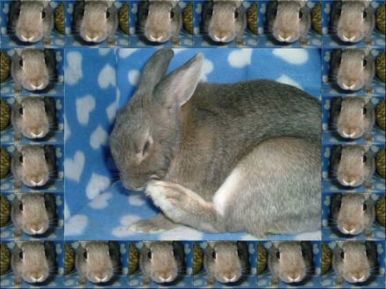 ＹＵＲＩＮＡ★