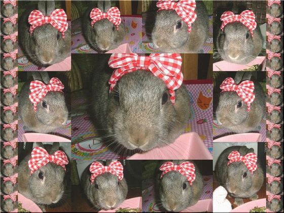 ＹＵＲＩＮＡ♪