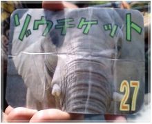 ゾウさんにおやつをあげられる整理券GET！