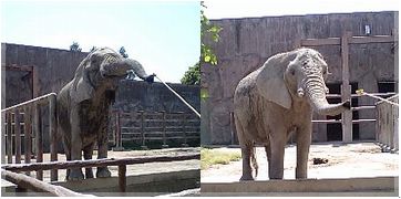 アイちゃん＆キョウコちゃん