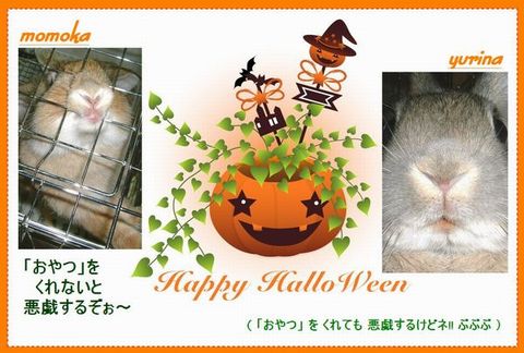☆ Happy Halloween 2007 ☆