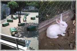 うさぎとの「ふれあいコーナー」はこんな感じ