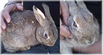 抱っこ抱っこ♪撫で撫で撫で～♪