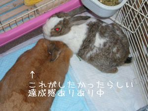 目標達成