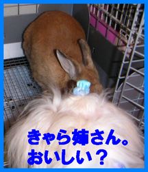 微妙な関係