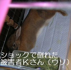 大丈夫？？？