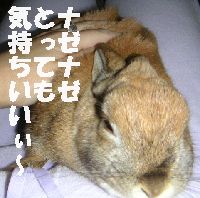 気持ちいい～