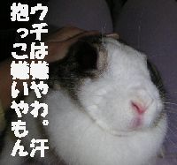 うちは嫌っ。