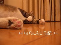 投げやり～