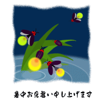 暑中お見舞い蛍
