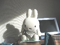 でかミッフィー