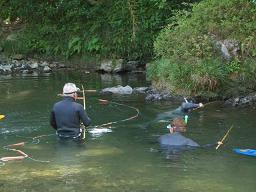 おやじたちの鮎とり２.JPG