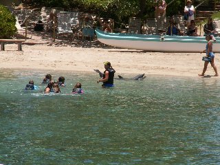 ワイコロアビレッジ２