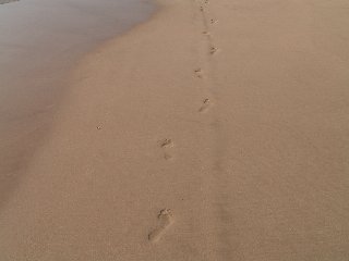 ハプナビーチ