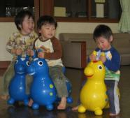 IMG_0720_800.jpg