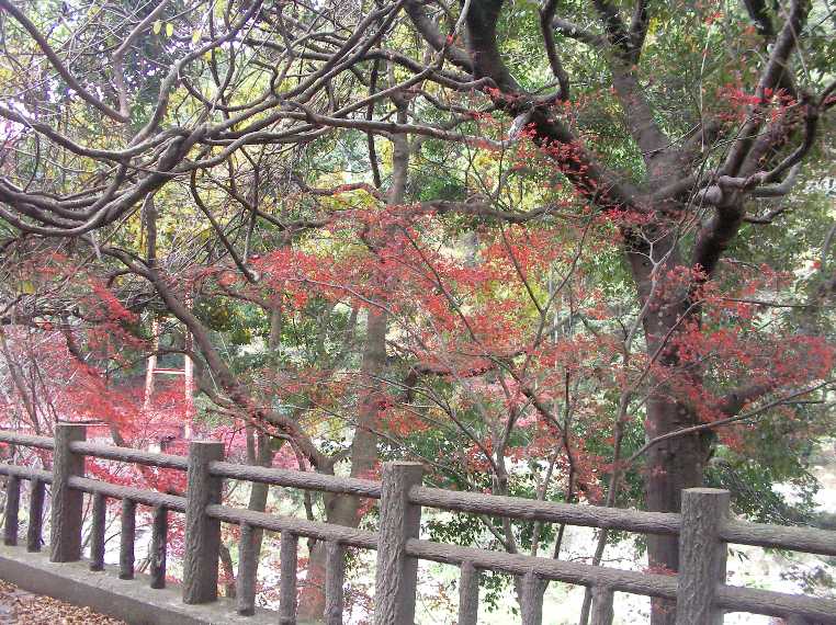 雄淵雌淵＠遊歩道