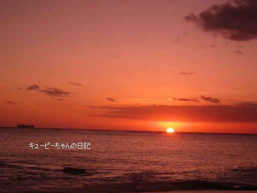 2010ハワイ 427blog.jpg