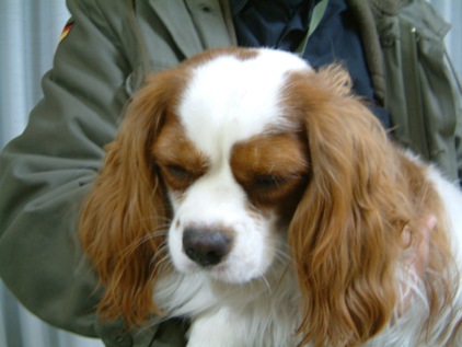 1201 046.jpg