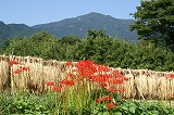 大山
