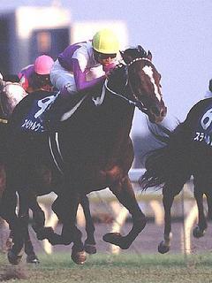 スペシャルウィーク