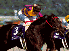 サニングデール