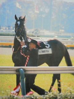 エルコンドルパサー