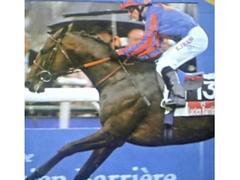 ハリケーンラン