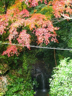 2008.11 032.jpg