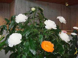 写真ＡＧｒ10.22 033.JPG