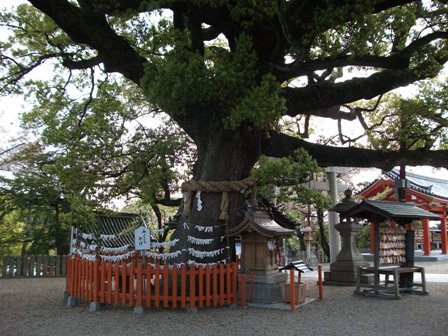 DSCF0159.JPG