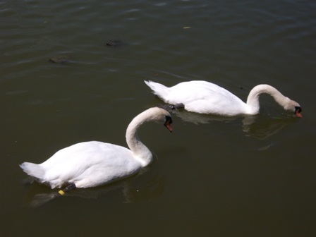 DSCF0647.JPG