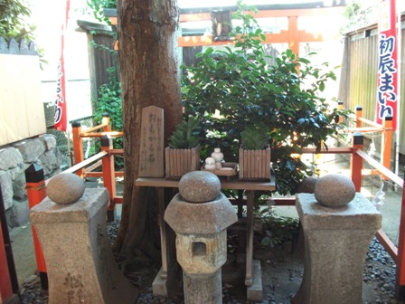 DSCF0676.JPG