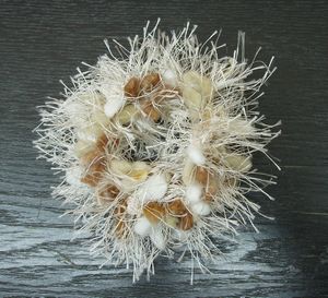 B0228 (7).jpg