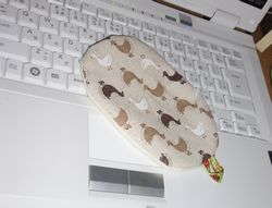 ぽすと０５０８.JPG