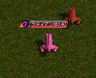 ラティアン