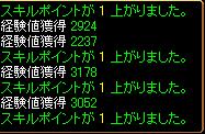 取得経験値