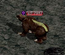 ヒグマ